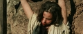 The Carpenter's Son